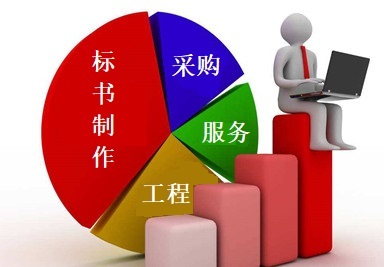 專業(yè)標(biāo)書制作與采購(gòu)代理服務(wù) 成都企業(yè)的得力助手